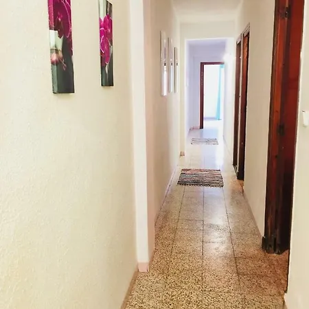 Apartamento Julia 알리칸테